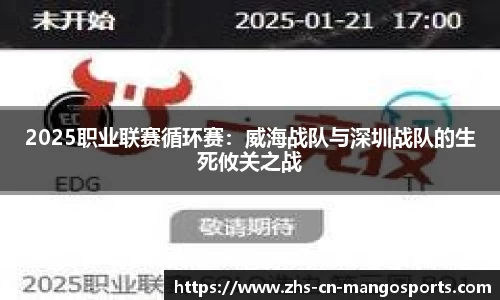 2025职业联赛循环赛：威海战队与深圳战队的生死攸关之战